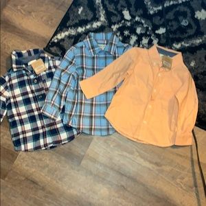 18-24mo boys button downs